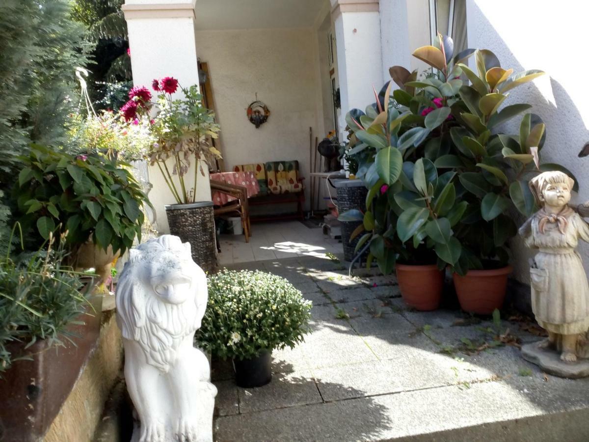 Dach-Studio-Runkel Schadecker Strasse 6 ภายนอก รูปภาพ